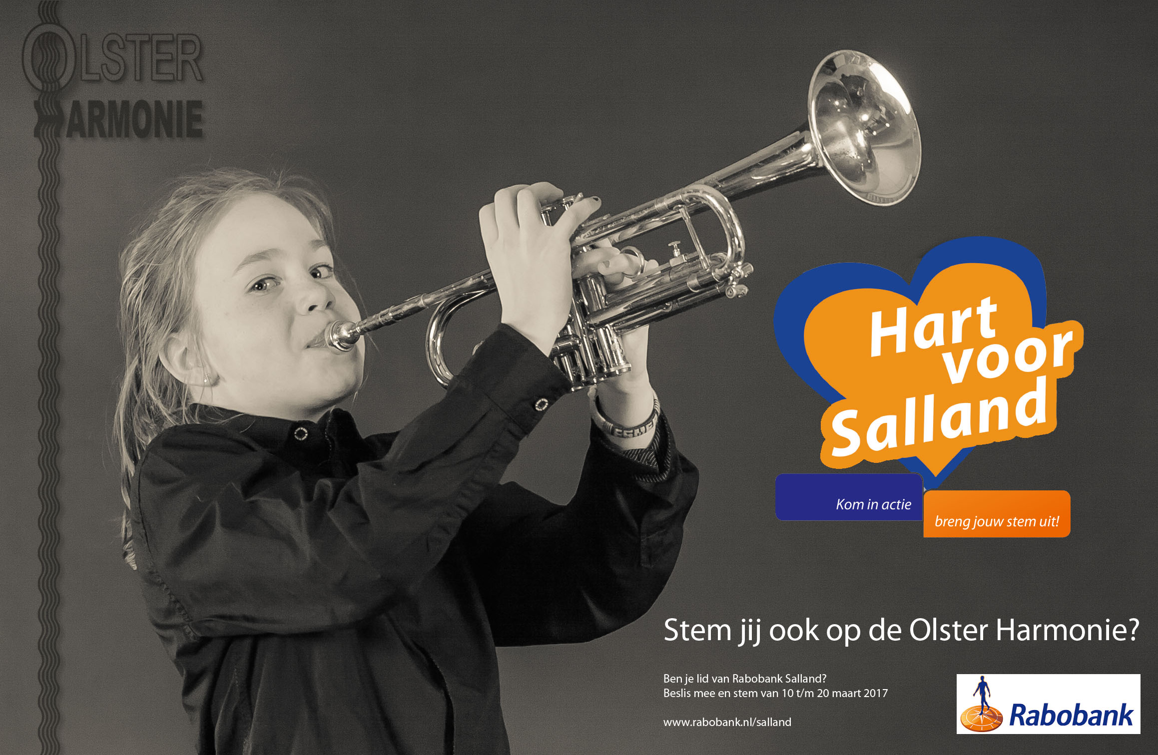 Hart voor Salland